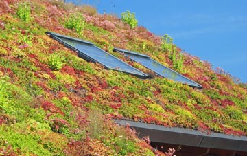 Halmonds Frome living roof systems
